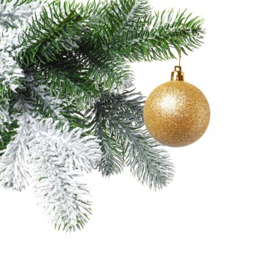 Beyaz süslemeli Noel ağacı dalı