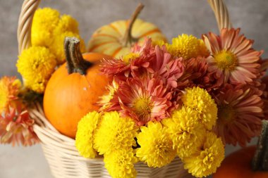 Güzel sonbahar kompozisyonu Çiçekler ve balkabakları Işık masasında, yakın çekim