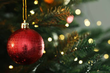 Kırmızı Noel mücevheri köknar ağacının dalında bulanık ışıklara karşı asılı duruyor, yazı için yeri olan yakın plan. Bokeh etkisi