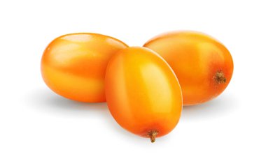 Taze deniz dikenli böğürtlenleri beyaz üzerine izole edilmiş