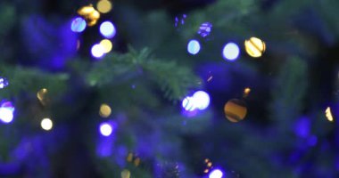 Yanıp sönen ışıkları olan Noel ağacı, yakın plan. Bokeh etkisi