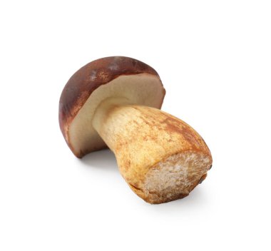 Bir taze Porcini mantarı beyaza izole edilmiş.
