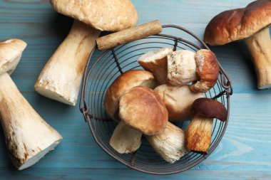 Taze porcini mantarları açık mavi ahşap masa, düz uzanmış