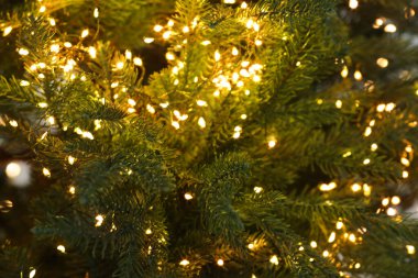 Güzel yılbaşı ağacının dalları, şenlikli ışıklar, yakın çekim. Bokeh etkisi