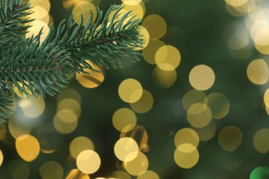 Bulanık Noel ışıkları olan fidan ağacı, yakın plan. Bokeh etkisi