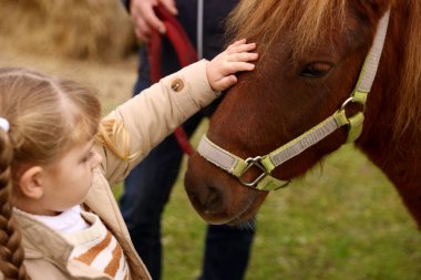 At destekli terapi. Kırsalda güzel bir midillisi olan küçük bir kız ve koç. Sevimli evcil hayvan