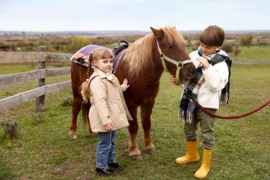 At destekli terapi. Dışarıda midillisi olan çocuklar. Sevimli evcil hayvan