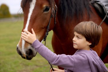 At destekli terapi. Küçük çocuk kırsalda güzel bir atı okşuyor. Sevimli evcil hayvan