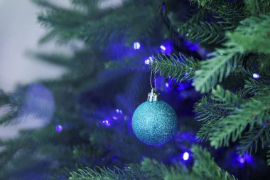 Noel ışıkları ve takılarıyla fidan ağacı, yakın plan. Bokeh etkisi