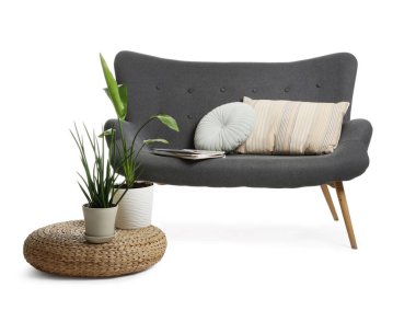 Şık bir kanepe, yeşil bitkiler ve beyaz arka planda puf.