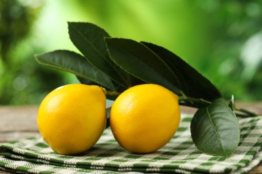 Açık havada yeşil yapraklı taze limonlar, yakın plan.