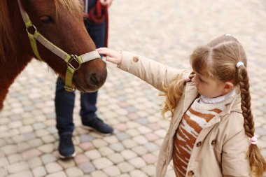 At destekli terapi. Güzel küçük bir kız dışarıda güzel bir atı okşuyor. Sevimli evcil hayvan