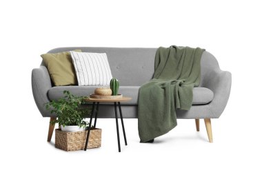 Gri kanepe, yastıklar, battaniye, sehpa ve sepet beyaza izole edilmiş.