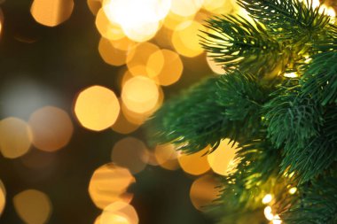 Şenlikli ışıkları olan güzel Noel ağacının dalları, yakın çekim ve metin için yer. Bokeh etkisi