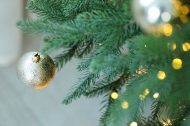 Noel ışıklarıyla fidan ağacı ve kapalı mekanlar, yakın çekim. Bokeh etkisi