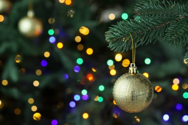 Noel ışıkları ve takılarıyla fidan ağacı, yakın plan. Bokeh etkisi