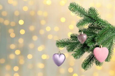 Bulanık ışıklara karşı Noel ağacı dalları