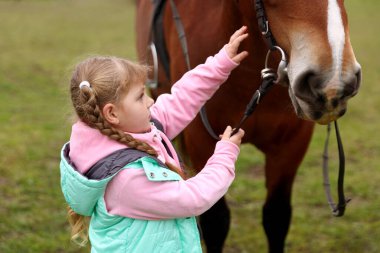At destekli terapi. Kırsalda güzel bir atı okşayan küçük bir kız. Sevimli evcil hayvan