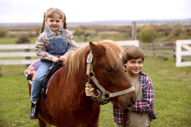 At destekli terapi. Güzel midillisi olan sevimli çocuklar. Sevimli evcil hayvan