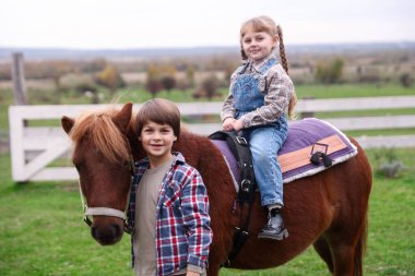 At destekli terapi. Güzel midillisi olan sevimli çocuklar. Sevimli evcil hayvan