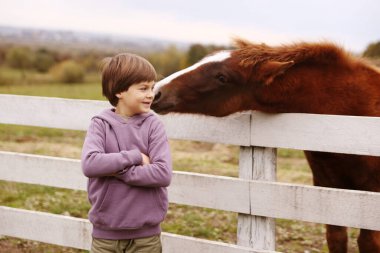 At destekli terapi. Küçük çocuk ve güzel at otlakta. Sevimli evcil hayvan