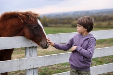 At destekli terapi. Ahırın yanında güzel bir atı olan küçük bir çocuk. Sevimli evcil hayvan