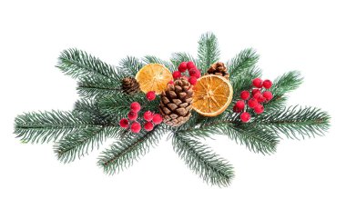 Noel ağacı dalları, böğürtlenler, kuru portakal dilimleri ve beyaz üzerine izole edilmiş koniler.