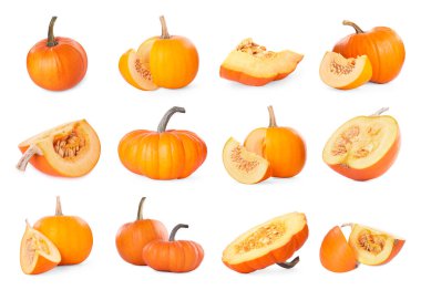 Taze olgun balkabakları beyaza izole edilmiş, kolaj. Tam ve kesin.