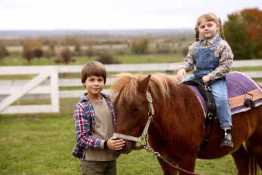 At destekli terapi. Güzel midillisi olan sevimli çocuklar. Sevimli evcil hayvan
