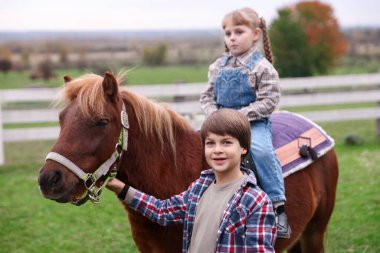 At destekli terapi. Güzel midillisi olan sevimli çocuklar. Sevimli evcil hayvan