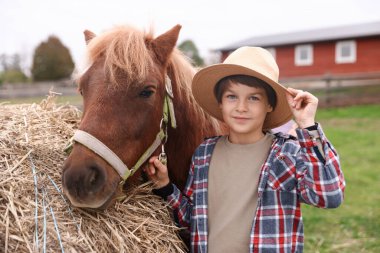 At destekli terapi. Dışarıda saman yığınının yanında midillisi olan güzel bir çocuk. Sevimli evcil hayvan
