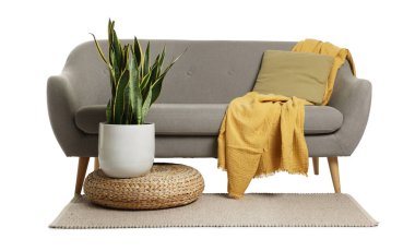 Gri kanepe, yastık, battaniye, halı, çiçek ve hasır pouf beyaz üzerine izole edilmiş.