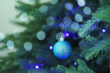 Noel ışıkları ve takılarıyla fidan ağacı, yakın plan. Bokeh etkisi