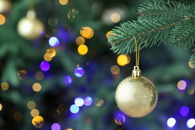 Noel ışıkları ve takılarıyla fidan ağacı, yakın plan. Bokeh etkisi