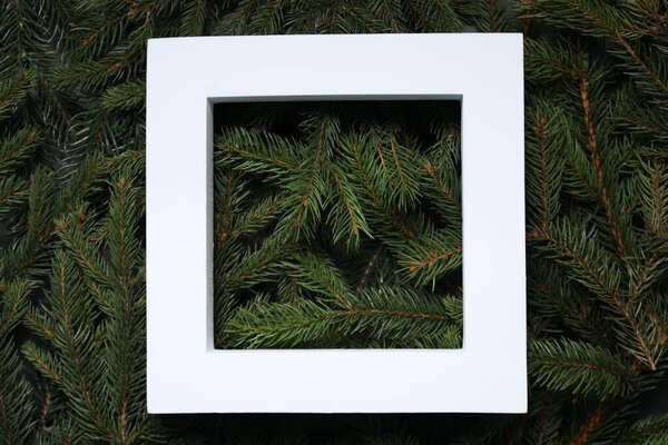 Frame on spruce branches, top view with space for text. Christmas tree