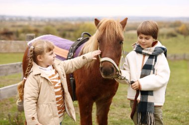 At destekli terapi. Kırsalda güzel midillisi olan sevimli çocuklar. Sevimli evcil hayvan