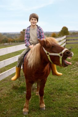At destekli terapi. Küçük çocuk dışarıda midilliye biniyor. Sevimli evcil hayvan