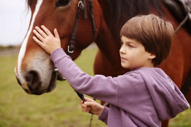At destekli terapi. Küçük çocuk kırsalda güzel bir atı okşuyor. Sevimli evcil hayvan