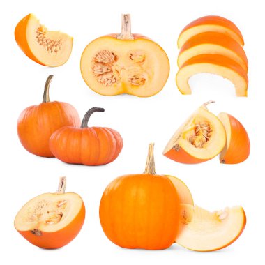 Taze olgun balkabakları beyaza izole edilmiş, kolaj. Tam ve kesin.