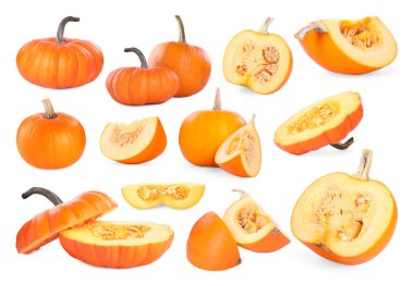 Taze olgun balkabakları beyaza izole edilmiş, kolaj. Tam ve kesin.