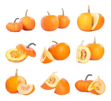 Taze olgun balkabakları beyaza izole edilmiş, kolaj. Tam ve kesin.