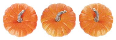 Taze olgun balkabakları beyazlar üzerinde izole edilmiş, set. Üst görünüm