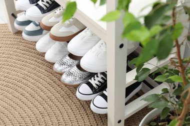 Depo tezgahında farklı çocukların ayakkabıları ve ev bitkileri, yakın plan.