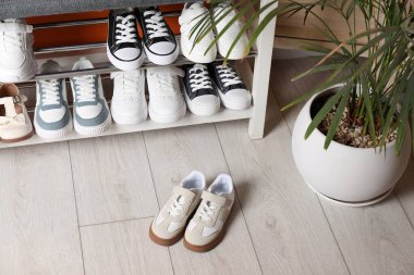 Farklı çocuk ayakkabıları, depolama tezgahı ve ahşap zemin üzerinde ev bitkisi.