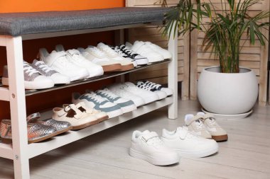 Farklı çocuk ayakkabıları, depo tezgahı ve ahşap zemin üzerinde ev bitkisi.