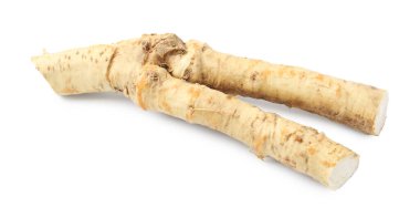 Bir taze yaban turpu kökü beyaza izole edilmiş.