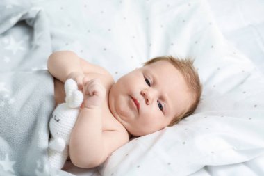 Evde oyuncak tavşancığı olan yeni doğmuş şirin bir bebek.