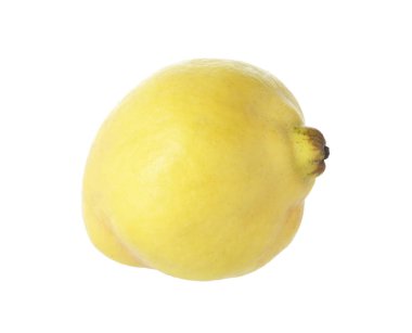 Taze olgun bir ayva beyazda izole edilmiş.