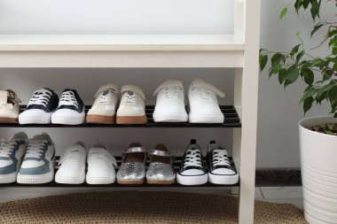 Depoda farklı çocuk ayakkabıları ve beyaz duvarın yanında ev bitkisi var.