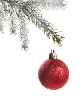 Beyaz arka planda Noel topu olan fidan dalı